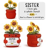 YUEYUQIU Gifts for Sister from Sister Brother, Handmade Crochet Sunflower Decor, Funny Birthday for Her, Best Big Little Soul Sister Gifts, Sentimental Friendship Room Decor