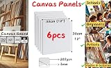 Exerz 30x30cm Canvas Panels 6pcs 3mm 280gsm 100% Cotton Oil & Acrylic view 2