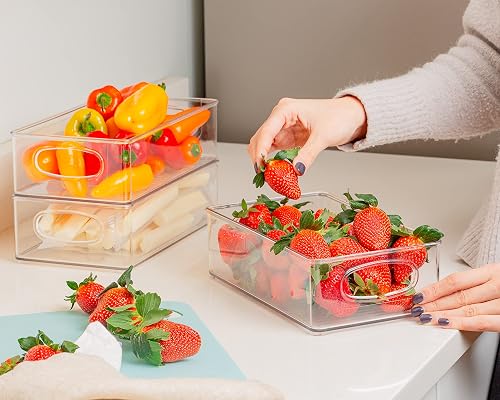 ClearSpace Plastic Pantry Bins With Lids – 10x6x5 Inch Stackable Storage Organizers For Fridge, Cabinet, Kitchen