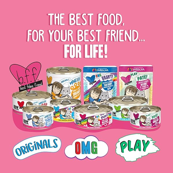 WERUVA B.F.F. OMG – BEST FELINE FRIEND OH MY GRAVY!, TUNA & CHICKEN CHASE ME WITH TUNA & CHICKEN, 2.8OZ CAN (PACK OF 12)