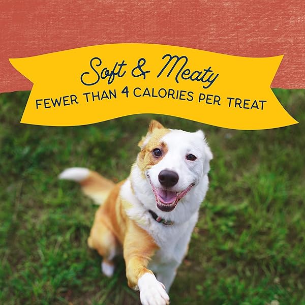 NATURAL BALANCE LIMITED INGREDIENT MINI-REWARDS SALMON GRAIN-FREE DOG TRAINING TREATS FOR DOGS | 5.3 OUNCE CANISTER