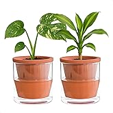 D'vine Dev 4 Inch Design Self Watering Pot for Indoor Plants, Terracotta Planter with Cylinder Glass Cup, Set of 2, 37-Y-A-1