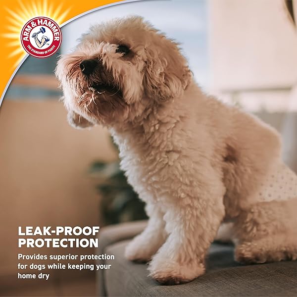 ARM & HAMMER FOR PETS DISPOSABLE FEMALE DOG DIAPERS WITH ODOR CONTROL AND WETNESS INDICATOR, LEAK RESISTANT DOG DIAPERS FOR INCONTINENCE AND HEAT CYCLES, SIZE MEDIUM 16.5–21 IN WAIST, 12 COUNT – 6 PK