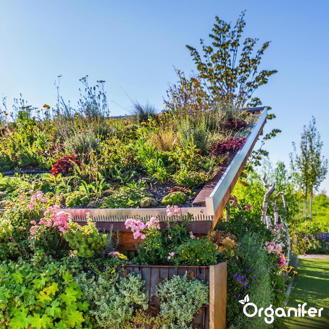 Dünger für Sedum und Dachbegrünung - 10 kg = 200 m2 - Langzeitdünger für Sedumdächer - Kräftiges Wachstum - Vorbeugung von kahlen Stellen - Mit Magnesium - NPK 9-2-7 - Organifer 8