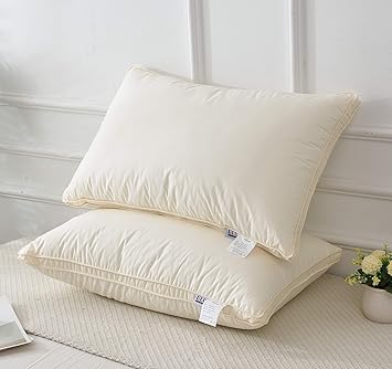 Amazon Com Ueu Pillows Inserts Queen 20 X30 46oz Polyester