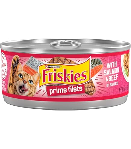 フードファイターズ ルーテネン・レッグチキン 88年製 マテル社製 アメトイ フードファイターズ ルーテネン・レッグチキン 88年製 マテル社