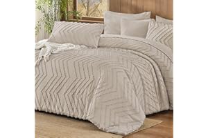 Andency Queen Size Comforter Set with Sheets Oatmeal, Boho Tufted Bed in a Bag King 7 Pieces, Complete Bedding Sets with 1 Co