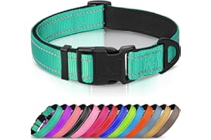 Joytale Reflective Dog Collar, Soft Neoprene Padded, Metal D-Ring, Nylon Pet Collar Adjustable for Large Dogs, Teal, L