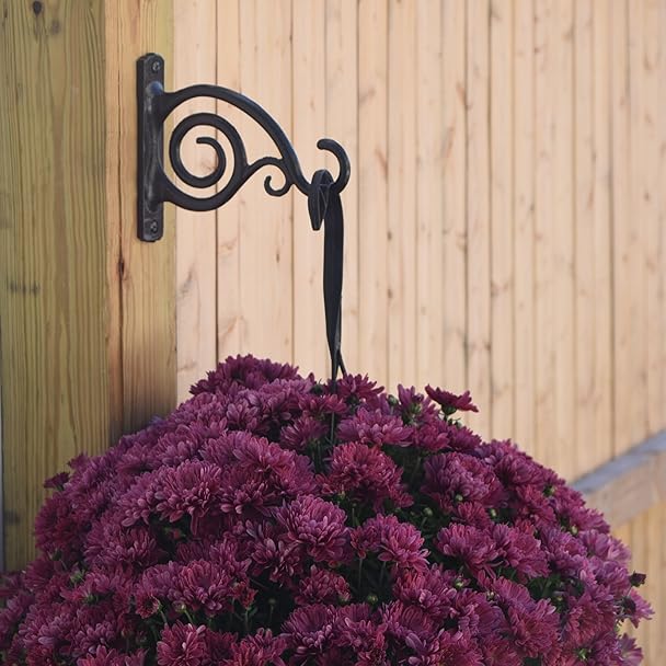 Lanterns Cast Iron Wall Hooks For Bird Feeders Black Planters Wind