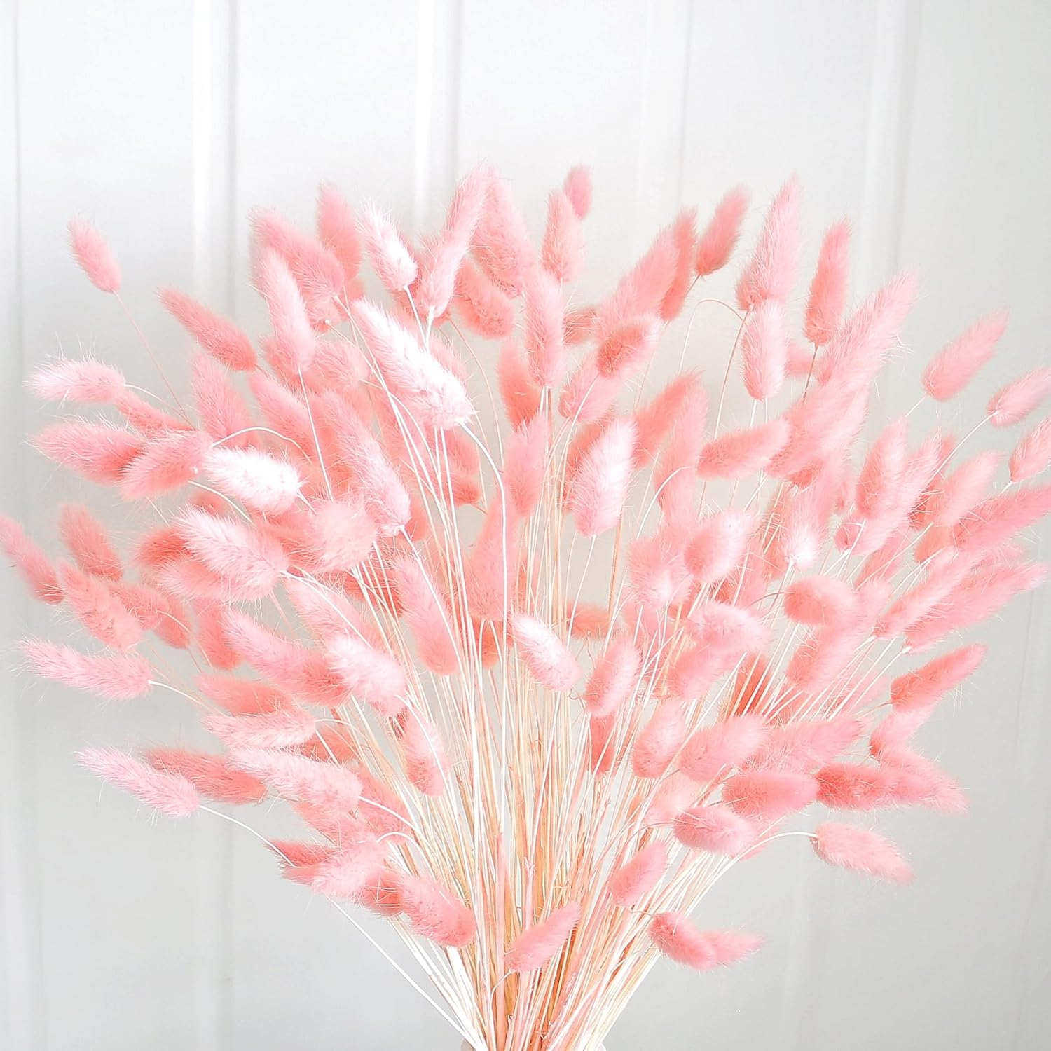 Dried & Preserved Flora - 100 PCS Pink Dried Pampas Grass Decor, 17-inch Pompas Floral, Dry Flowers for Decoration, Pampas Grass in Bulk Tall, Pink Bunny Tails Dried Flowers for Boho Wedding Decor