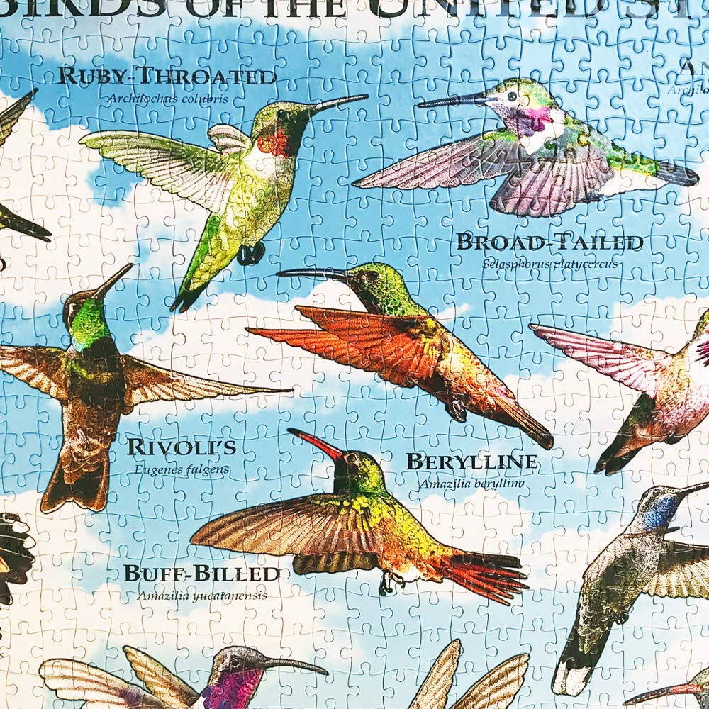 1000 Piece Puzzle Birds for Adults Hummingbirds Jigsaw Puzzle for Bird Lovers Puzzle Lovers United States USA American Hummingbird Collage Puzzle Poster