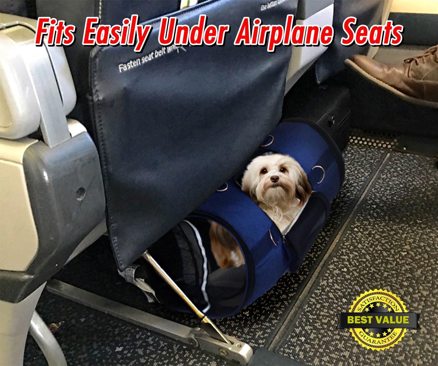 dog on airplane seat