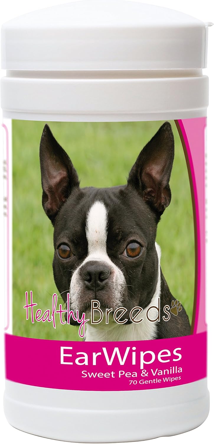 boston terrier ear infection