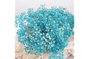 JTODER Dried Babys Breath Flowers Bouquet-17 Inch 2500+ Ivory Blue Dry Flowers, Natural Gypsophila Branches for Wedding, Table Vase Decor, DIY Wreath Floral, Home Office Party Garden Decoration (3oz)