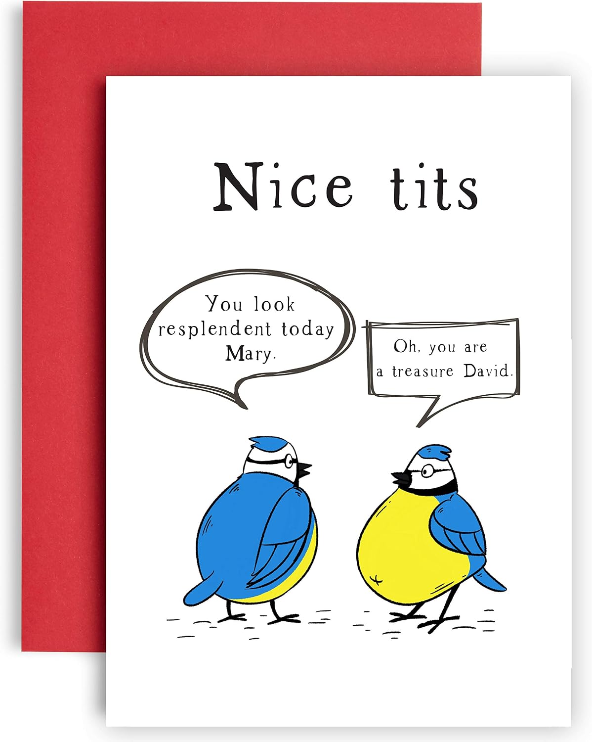 Nice Blue Tits Funny Birthday Card, Funny Birthday Card for Friend Women, Funny Birthday Cards for Women, Friendship Gifts