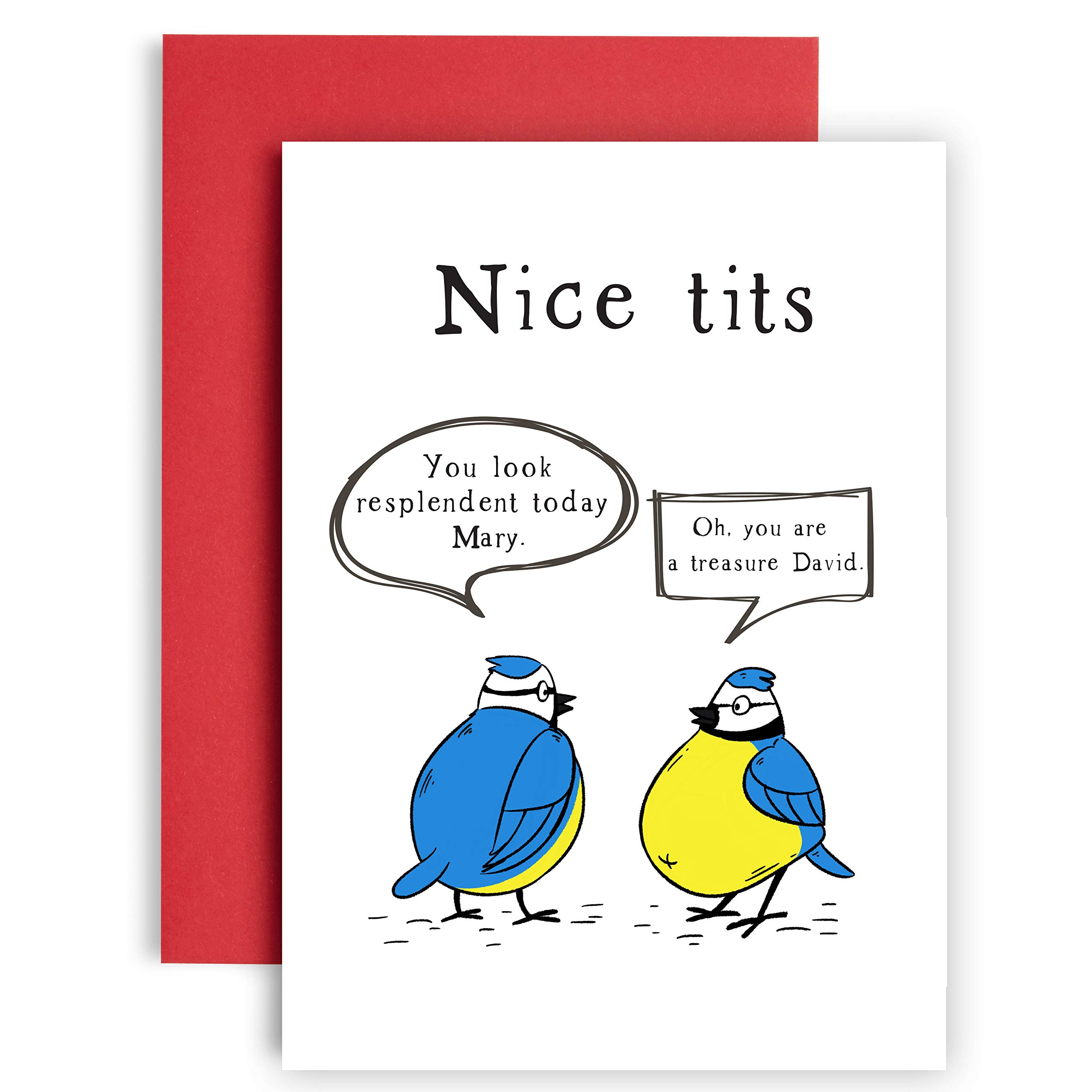 Nice Blue Tits Funny Birthday Card - Funny Birthday Card for Friend Women - Funny Birthday Cards for Women - Friendship Gifts - Gift Card - Happy Birthday Card for her - Best Friend Birthday Card