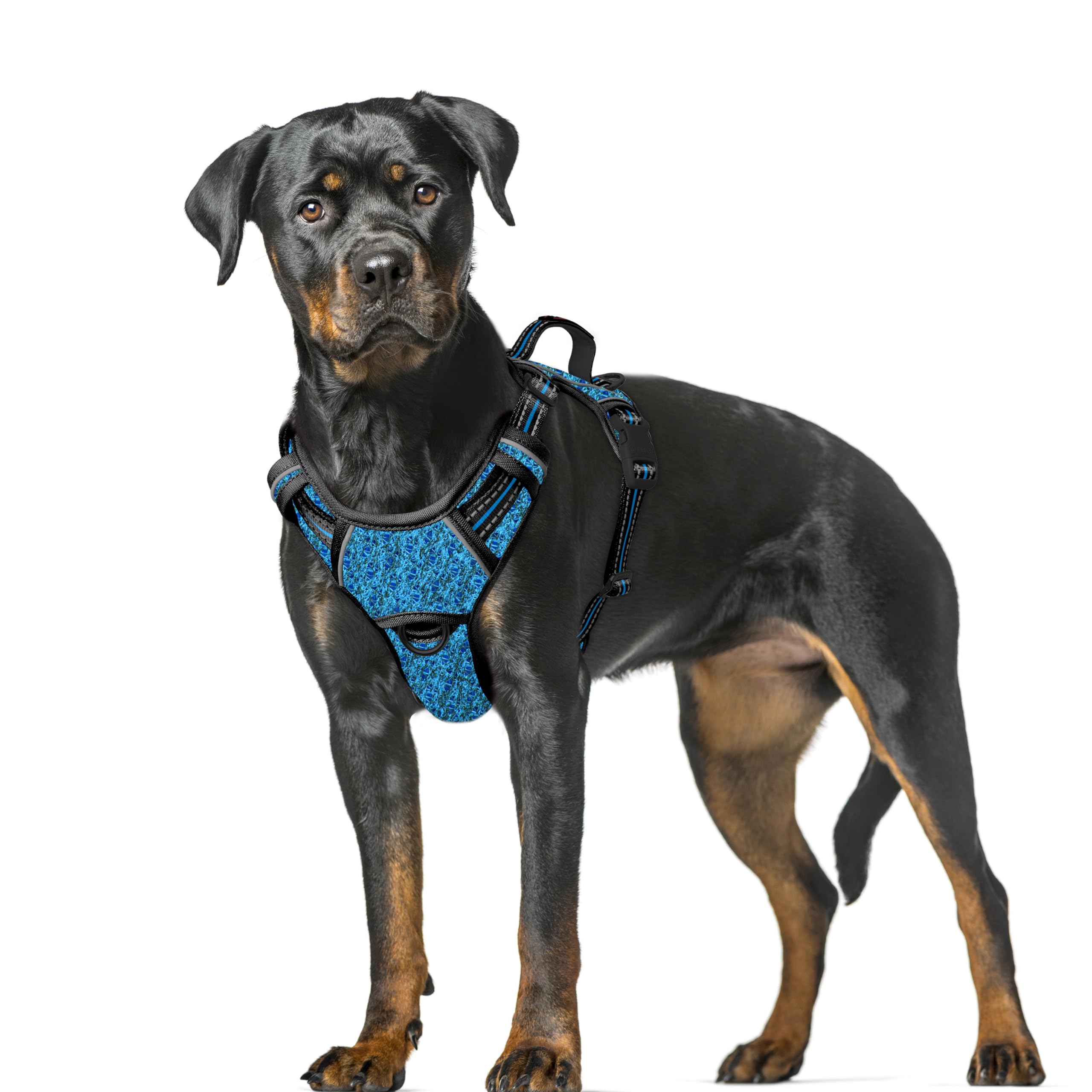 BARKBAY No Pull Dog Harness Large Reflective Dog Harness with Front Clip and Easy Control Handle for Walking Training Running with ID tag Pocket(Blue/Black,XL)