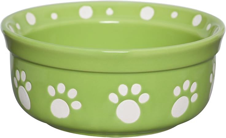 small dogs that are calm and friendly