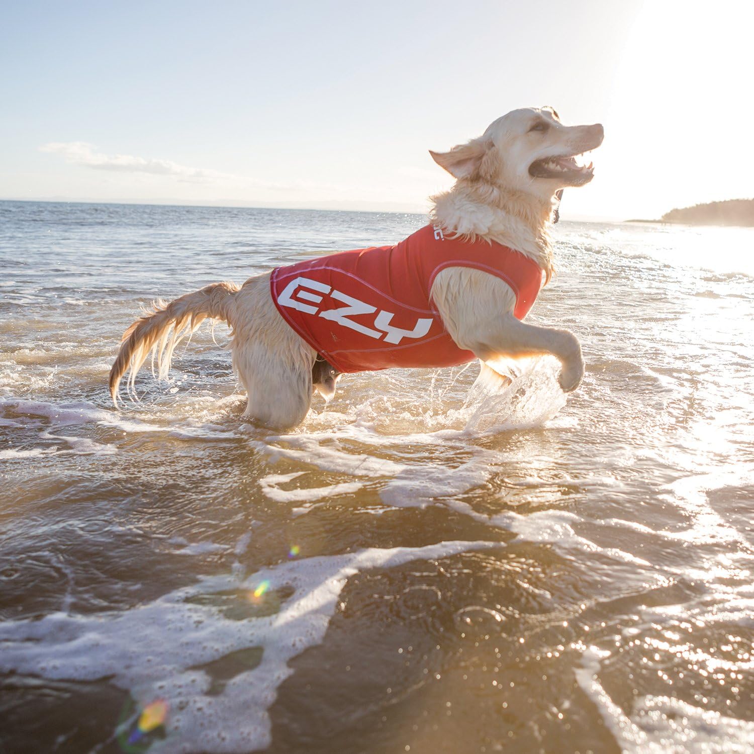 ezydog rash vest
