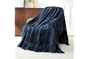BUZIO Weighted Blanket Queen/Double 15 LBS 60x80 inches, Cozy Sherpa Weighted Blanket for Sofa Couch Bed, Ultra Soft Fluffy S