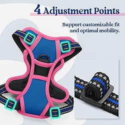 rabbitgoo Dog Harness No Pull with 2 Leash