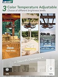 LEDIARY 20" Outdoor Ceiling Fan with Lights,IP65