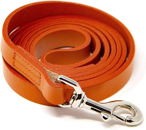 amazon leather leash