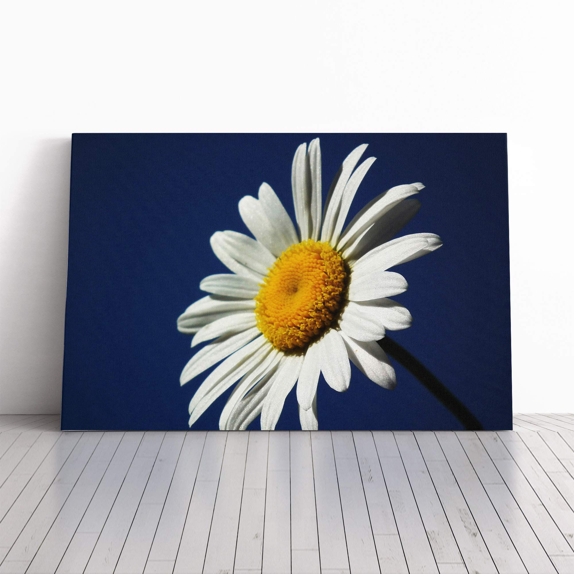 White Daisy Flower (7) Canvas Print | Gallery Wrapped 30mm Frame Wall Art | 20x14 inches | Ready to Hang | Modern Floral Picture | Living Room Bedroom Lounge Office