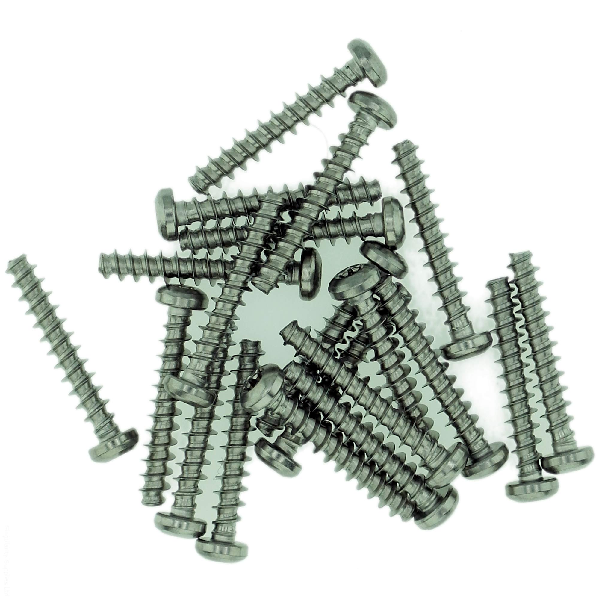 D4 (4mm x 10mm) TX Pan Screws for Plastic - Stainless Steel (A2) (Pack of 20) — image 1