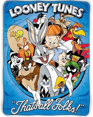 looney tunes blanket