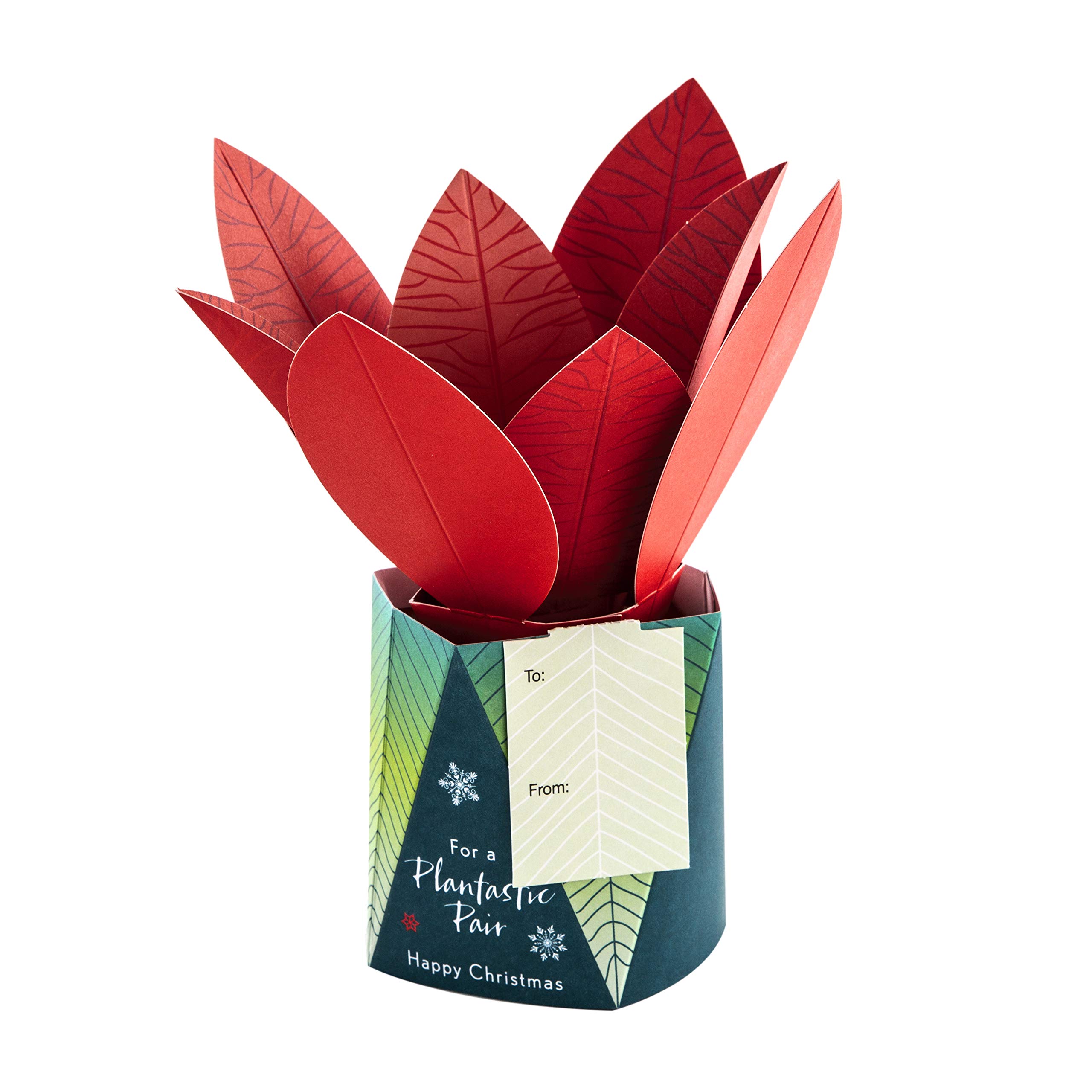 Hallmark Christmas Card for Both - Contemporary 3D Pop-Up Plant Design