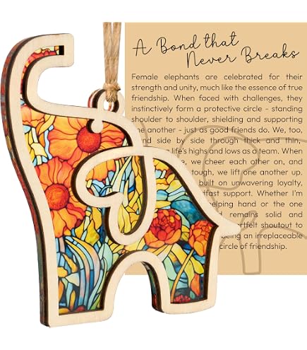 WOOWA Freundschaftsgeschenk-Set – Kristall-Herz Regenbogen-Maker Als Anhänger, Inkl. Karte, Für BFF & Beste Freundin