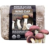 North Spore Organic Wine Cap Mushroom Sawdust Spawn | Beginner-friendly Mushroom Grow Kit for Outdoor Garden Beds, Grows in 2 Months, Pairs with hardwood chips