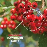 ALPHA01 Organic Hawthorn Berry 1000mg 90 Vegan Capsules view 4