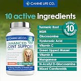 Canine Life Co Senior Enhanced Hip & Joint Support 120 Chewable Tablets UK view 4