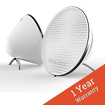 dual true wireless speakers