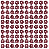 100 PCS Abrasive Buffing Wheels,1 Inch Buffing