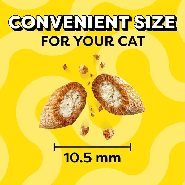 TEMPTATIONS CAT TREATS, CLASSIC CRUNCHY AND SOFT CAT TREATS, SEAFOOD MEDLEY FLAVOR, 16 OZ. TUB