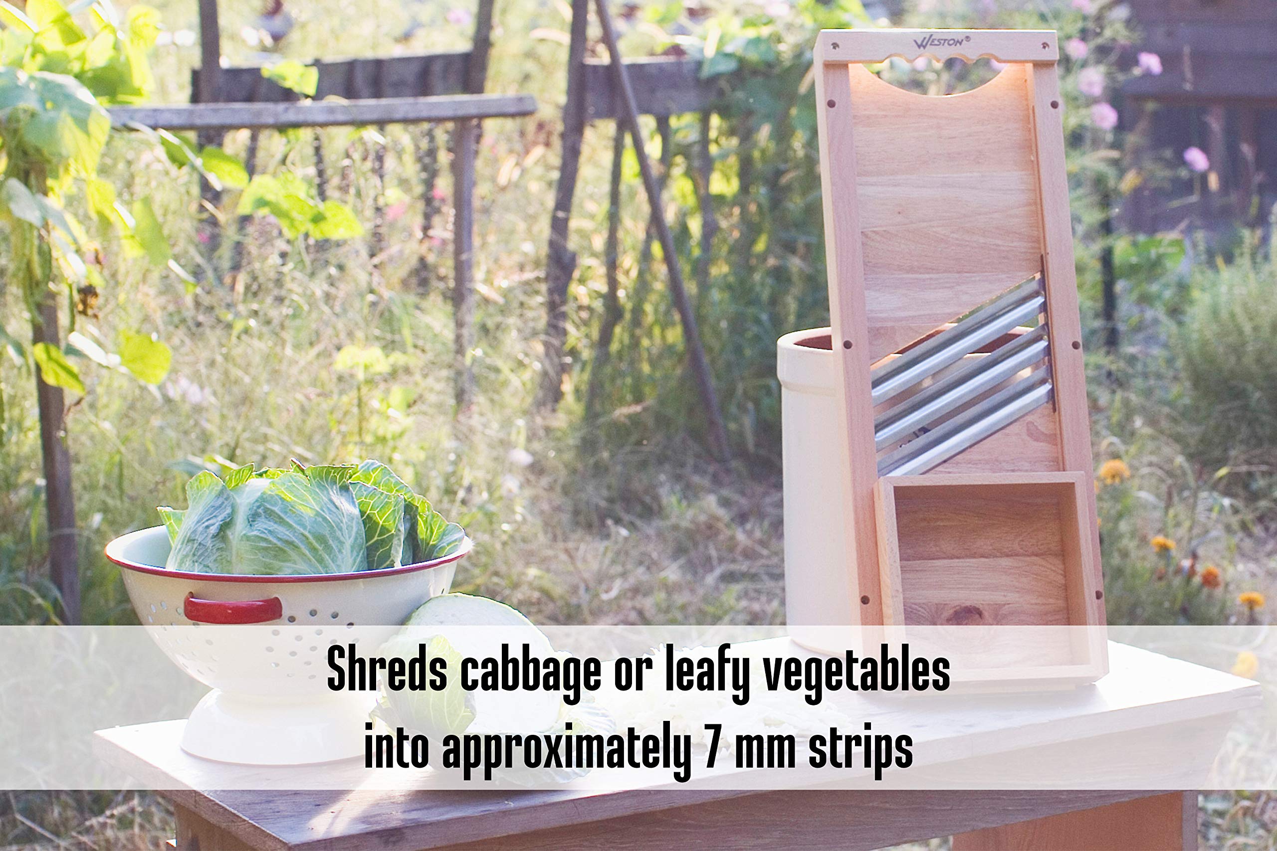 Galleon Weston Cabbage Shredder (701401W), Stainless Steel Blades