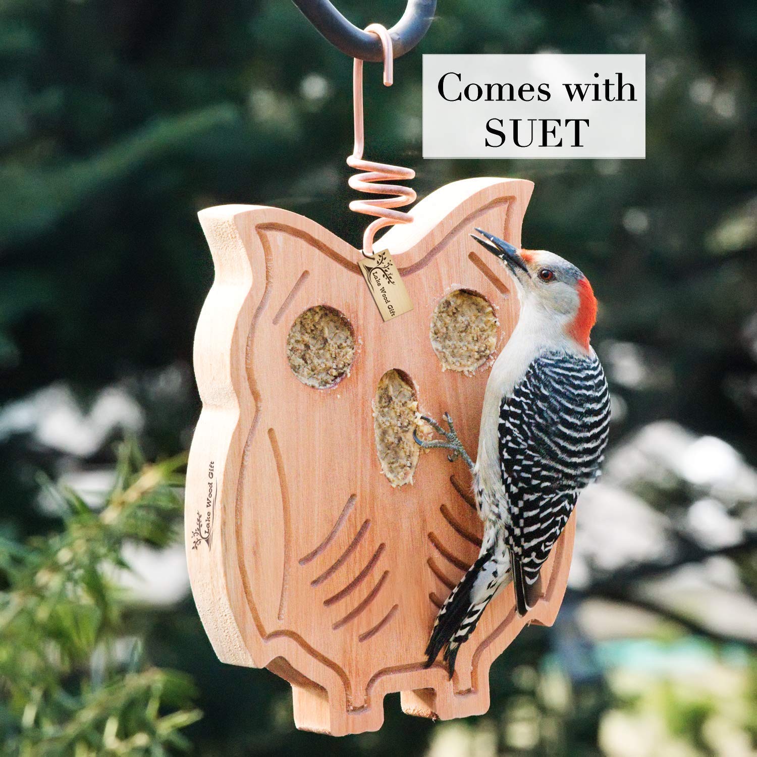 Amazon Com Lakewoodgift Owl Shape Best Homemade Hanging Wooden