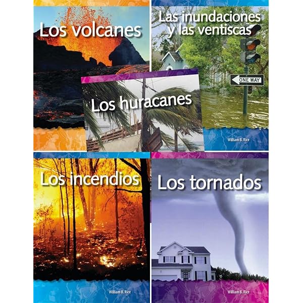 Amazon.com: The Collector's Voice: Critical Readings in the