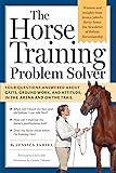 The Horse Training Problem Solver: Your questions
