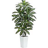 TNGGNT Artificial Dracaena Tree：5FT Faux Silk Tropical Yucca Floor Trees Realistic Fake Green Plant with Natural Wood Trunk & Lifelike Leaves for Home Office Decor Indoor & Outdoor (5FT,1-Pack,White)