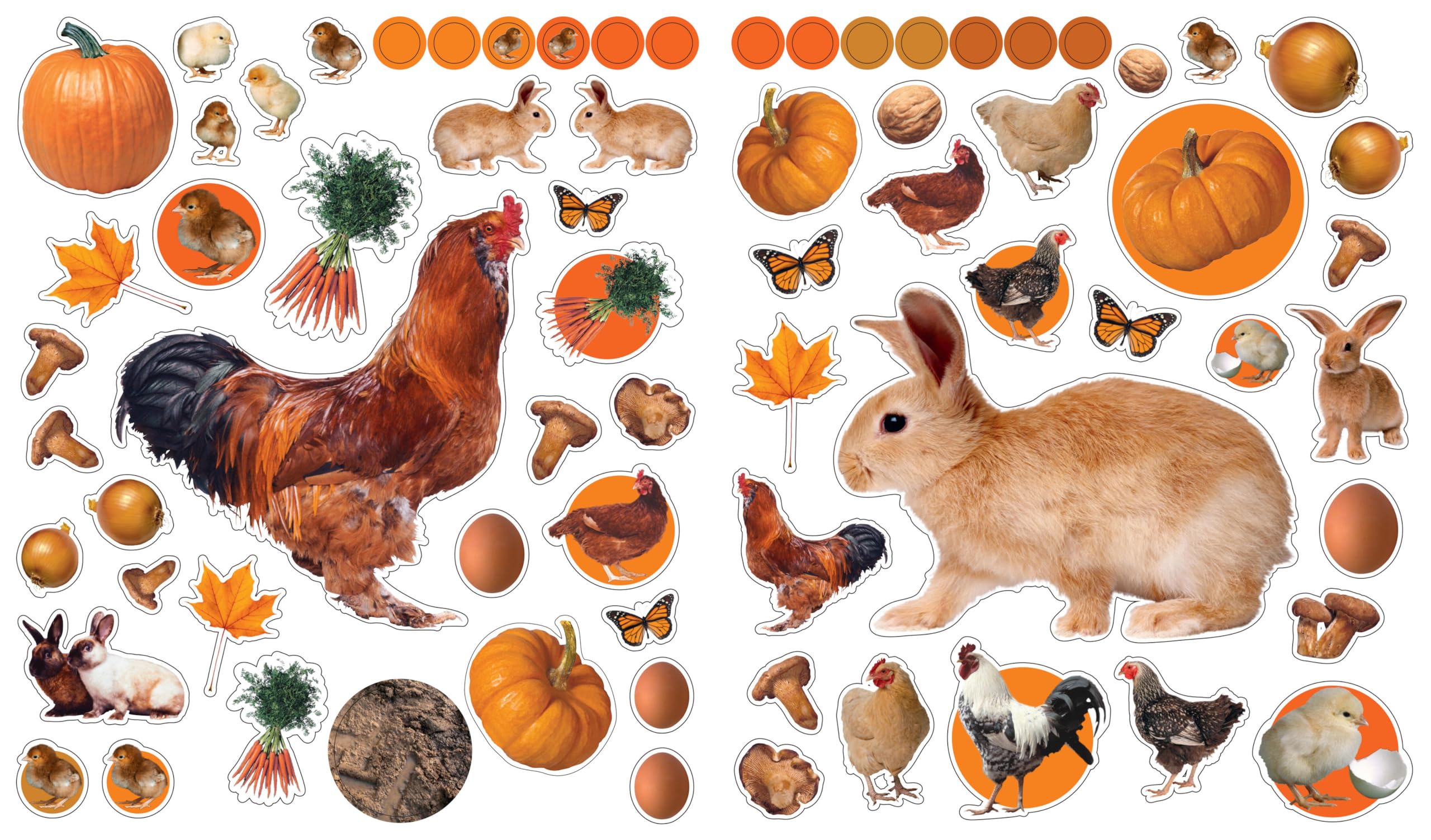 Eyelike Stickers: On the Farm: On the Farm