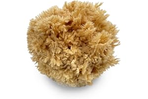 Natural Sea Wool Art Sponge: Premium Professional Grade 5"-6" Unbleached, Excellent for Painting, Decorating, Texturing, Sponging, Marbling Effects, Faux Finishes, Crafts & More by Lullingworth®