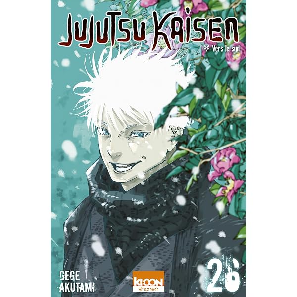 Amazon.com: Jujutsu Kaisen T24 (French Edition) eBook : Akutami