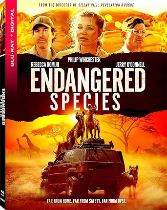 bassett movies prices