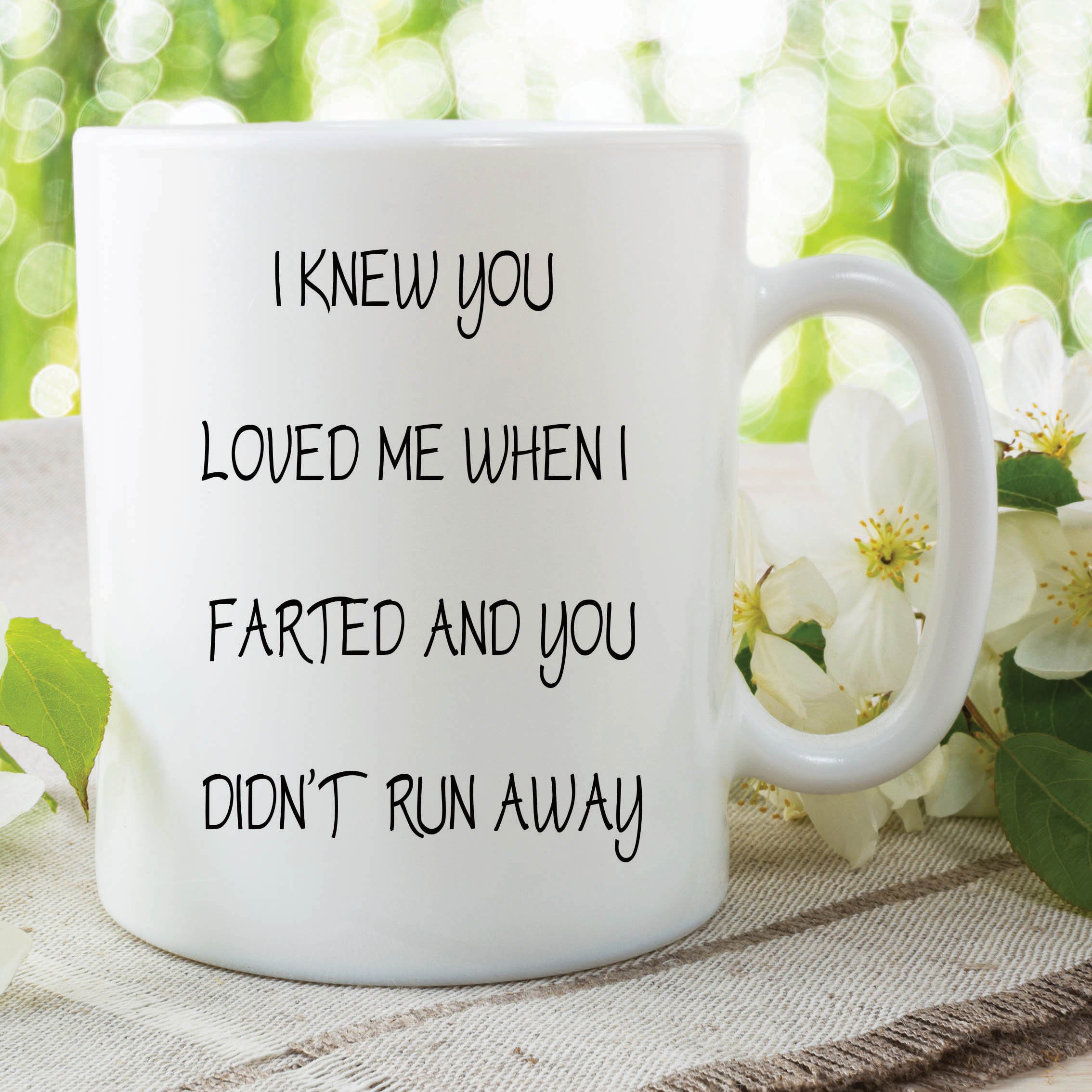 Funny Novelty Adult Mug Loved Farted Run Away Valentine's Day Cup Gift WSDMUG401