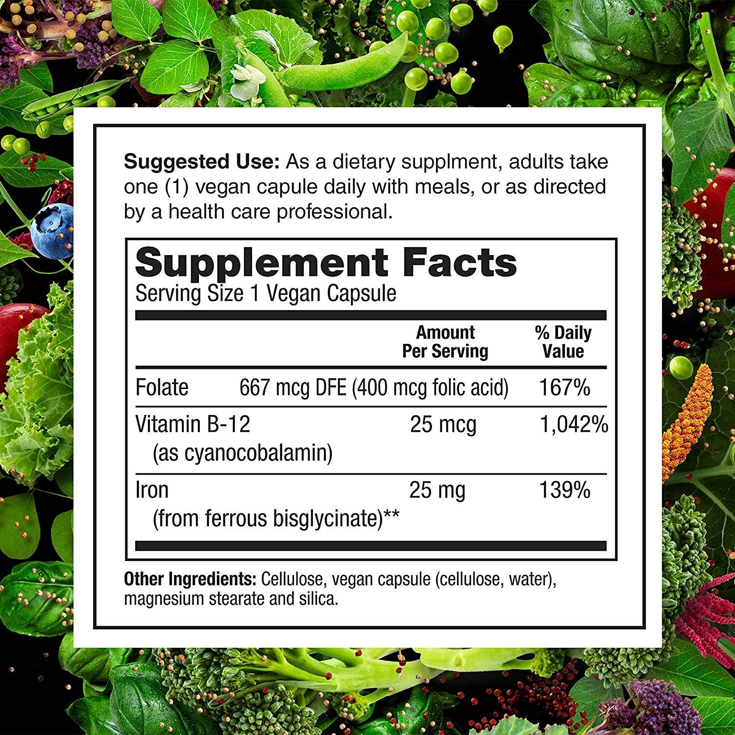 PlantFusion Complete Iron Vegan Vitamin 25 mg | Highly Absorbable and Easy On The Stomach, Plant Based, Gluten and Soy Free, Dietary Supplement, 3 Month Supply, 90 Vegan Capsules: Health & Personal Care