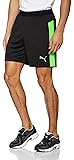 Puma IT Evotrg Men's Shorts, Men, IT evoTRG Shorts